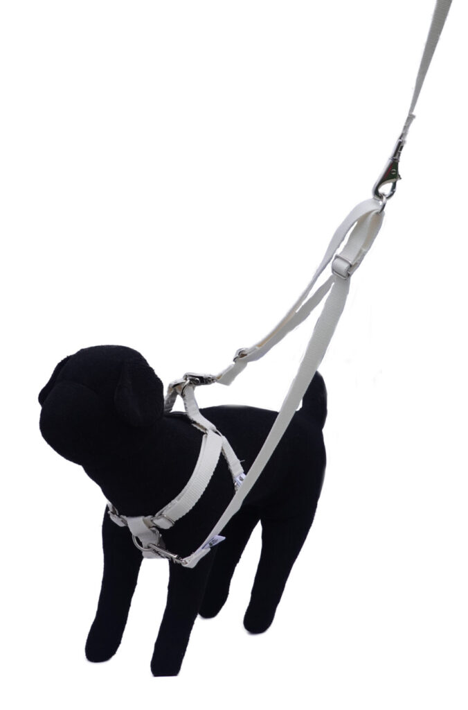Dual Clip Harness with Tandem Leash Accessory and Leash