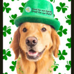 Puppy kisses & four leaf wishes!