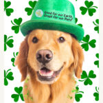 Puppy kisses & four leaf wishes