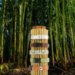 Stack of Dog collars in natural, Tree Bark (brown), Eco Dog design, Bamboo Zen (green), and Falling Leaves (orange) in a bamboo forest