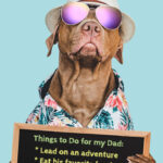 Dog wearing Hawaiian shirt, sunglasses, and hat with Wagging Green logo holding chalkboard with things to do for its dad